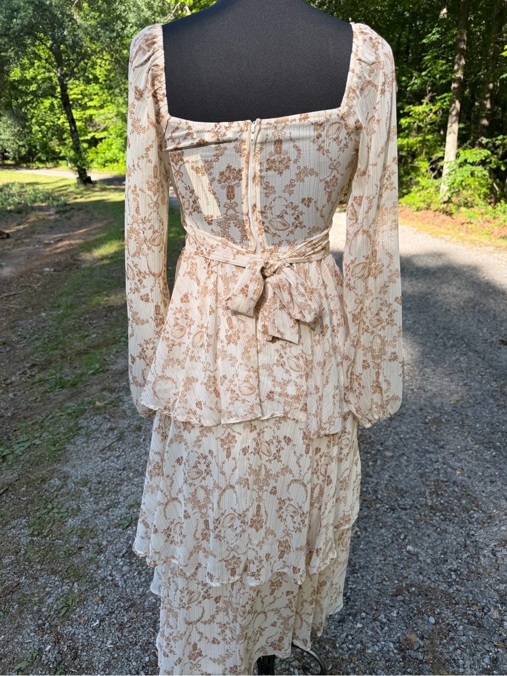 Francesca's Collections Cream and Tan Floral Long Sleeve Maxi Dress - Picture 4 of 6